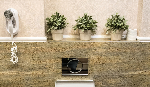 Valitsemme huuhtelupainikkeen