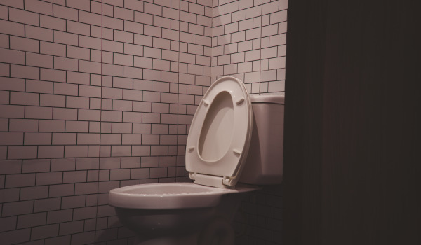 Kuinka ostaa hyvä wc-istuin?