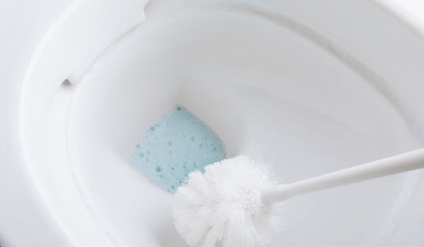 Kuinka huolehtia WC-harjasta?