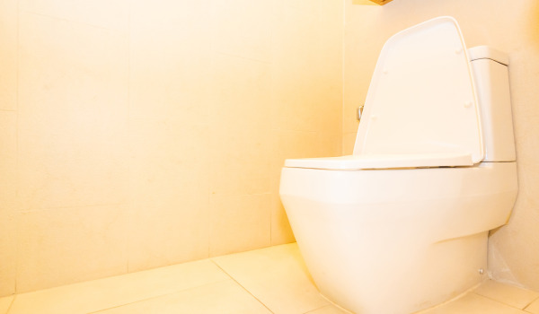 Mikä WC:n seinäkehikko valita?