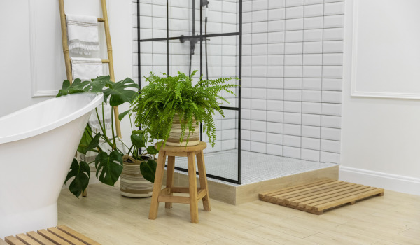 5 parasta kasvia kylpyhuoneeseen