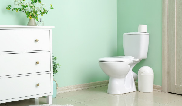 WC-istuin suojapinnoitteella vai ilman?